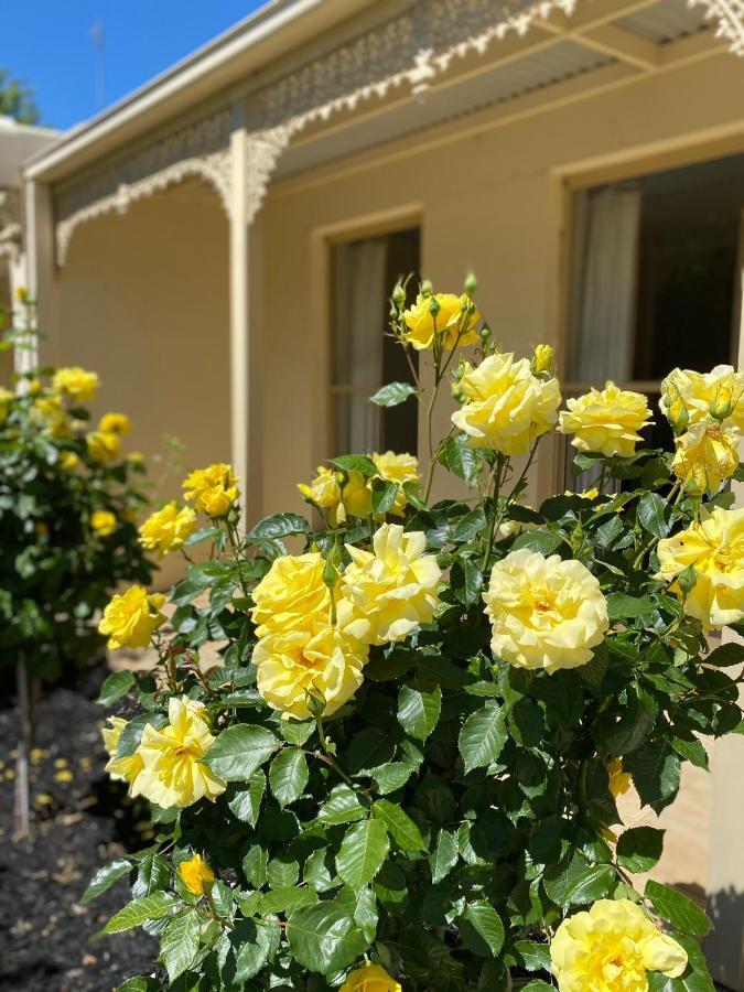 Aparthotel Acacia Terraces Echuca Zewnętrze zdjęcie