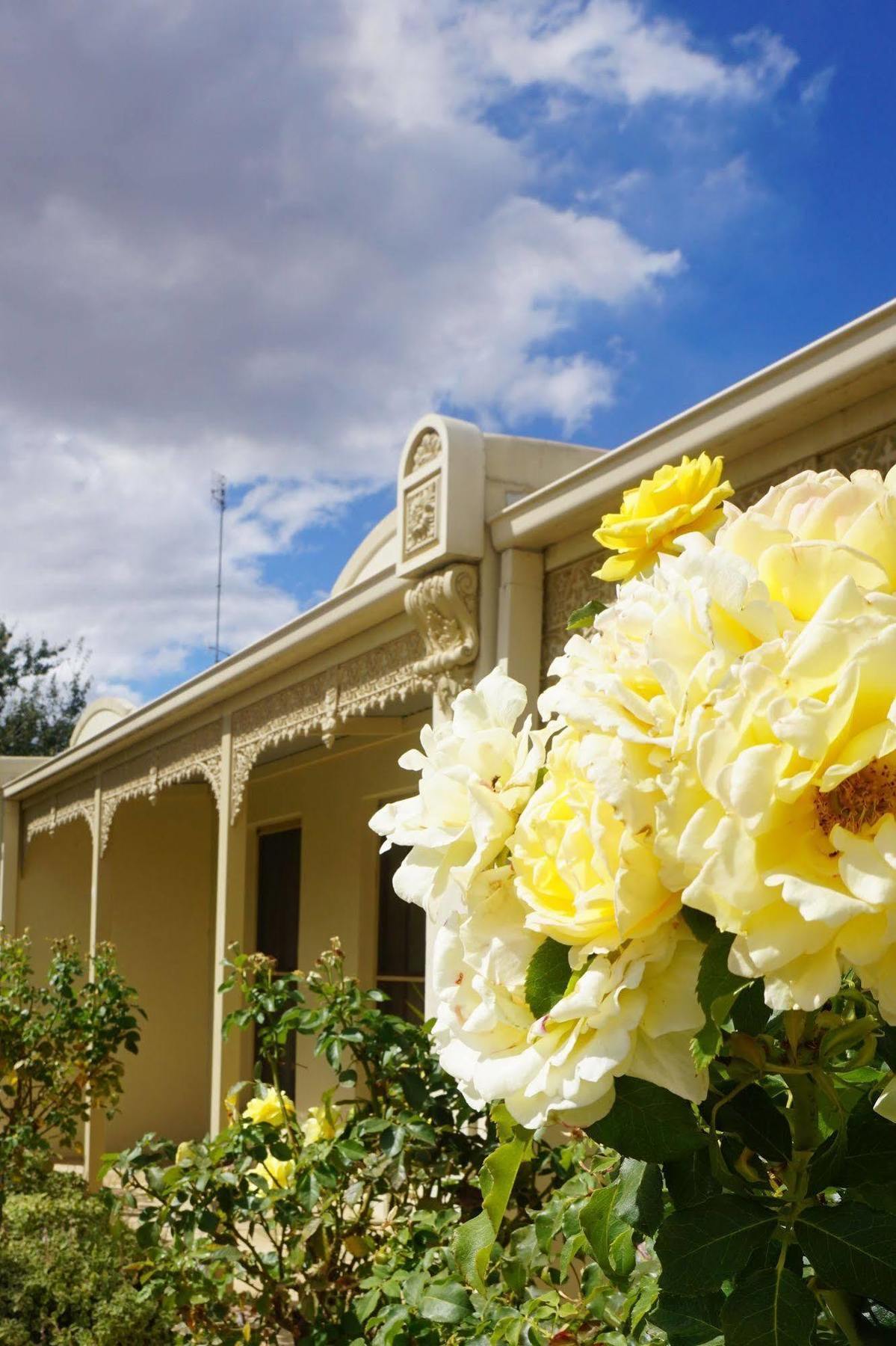 Aparthotel Acacia Terraces Echuca Zewnętrze zdjęcie